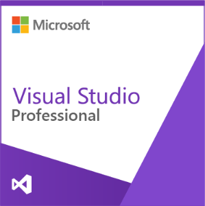 Visual Studio Professional - onex.store