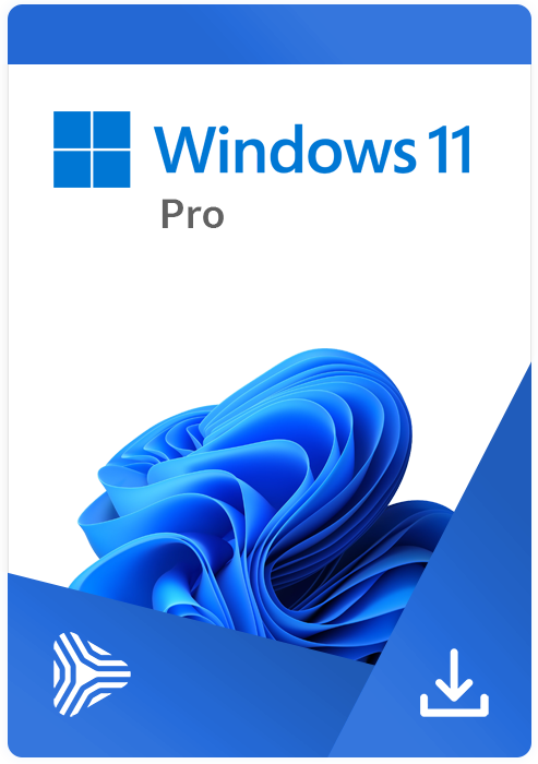 windows 11 pro 64 bit oem key