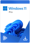 Windows 11 Pro ESD
