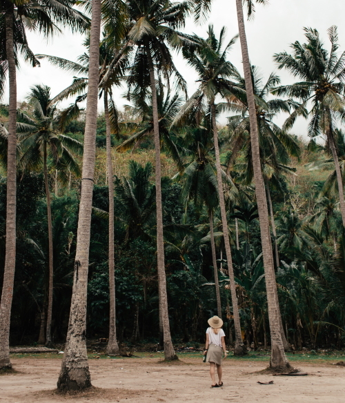 Las palmowy i kobieta